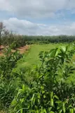 [L2682*] 1.8Ha Đất Trồng Sầu Riêng Sát Chợ Truông Mít - Giá 5.X Tỷ - Ảnh 4