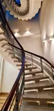 Quận 3: Bán Nhà 4 Tầng Mặt Tiền Nguyễn Đình Chiểu, P.bàn Cờ- Dt 131M2 Ngang Lớn 5,6M*28m- Sẵn Dòng - Ảnh 5