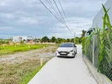 Còn 1 Lô Duy Nhất – Mỹ Thạnh, Tân Trụ, Long An - Ảnh 4