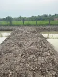 Bán 1.000M² Đất Vườn Giá Mềm – Gần Chợ Cầu Vuông - Châu Thành, Long An - Ảnh 3