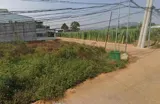 Bán Nhanh Lô Đất Phú Hội, Đức Trọng Giá Rẻ Chỉ 800 Triệu Đồng - Ảnh 3