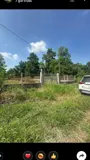 Đất Vườn Đẹp – Giá Tốt – Cần Bán Gấp Đất Tại Xã Bình Lợi, Huyện Bình Chánh, Tp. Hồ Chí Minh - Ảnh 5