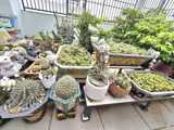 Bán Nhà Đường Man Thiện, Tăng Nhơn Phú A, Q9, Thủ Đức, Tp Hcm. Dt 72M2, 4 Tầng, Shr. Giá 9,5 Tỷ - Ảnh 5