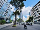 Duy Nhất Nhà Bán 2 Tầng Mặt Tiền Hxh 6M Nguyễn Cư Trinh, Q.1- Dt 4M*16m Sh Vuông Đẹp- Chỉ 22.5T - Ảnh 5