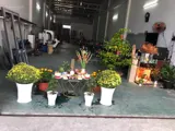 Bán Nhà Mt Trần Văn Giàu, Xã Lê Minh Xuân, Huyện Bình Chánh, Dt 6,45 X50m 100% Thổ Cư: 11,7 Tỷ - Ảnh 4