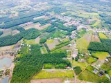 Đầu Tư Sinh Lời – Bán Sỉ & Lẻ Đất Vị Trí Đẹp Tại Xã Lộc Khánh, Huyện Lộc Ninh, Bình Phước - Ảnh 3