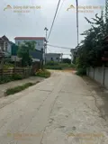 203M Phú Nghĩa-Chương Mỹ-Hà Nội - Ảnh 2
