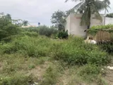 Chính Chủ Bán 431M2 Đất Full Thổ Cư Sẵn Sổ Mặt Tiền Đường Oto Tránh Tại Bình Mỹ - Ảnh 2