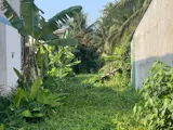 Bán Đất Nền Phường Trung An, Tp. Mỹ Tho , Tiền Giang ,Nay Thuộc Đồng Tháp - Ảnh 3