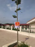 Đất Đẹp- Hiếm Có Khó Tìm Chính Chủ Bán Nhanh Lô Đất Vị Trí Đắc Địa Tại Huyện Yên Thế, Tỉnh Bắc Giang - Ảnh 2