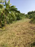 Đầu Tư Sinh Lời – Chính Chủ Cần Bán Đất Tại Xã Tân Bình, Tp Tây Ninh, Tỉnh Tây Ninh - Ảnh 2