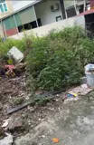 Đất Đẹp- Giá Tốt Chính Chủ Bán Nhanh Lô Đất Tiềm Năng Lớn Tại Huyện Hoài Đức, Tp Hà Nội - Ảnh 5