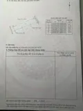 Đầu Tư Là Sinh Lời - Đất Chính Chủ Vị Trí An Thanh - Chí Minh - Hải Phòng ( Tứ Kỳ Hải Dương Cũ ) - Ảnh 1
