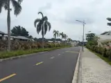 Villa Vân Trì, Dt1188m2, Mt31.10m, 195 Tỷ Đông Anh, Hà Nội - Ảnh 5