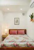 Chung Cư Cách Mạng Tháng Tám, Quận Tân Bình, 4.5X 9.5M (45 M2), 2.45 Tỷ - Ảnh 4