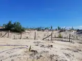 Chính Chủ Bán Đất Gần Biển Vạn Thọ – Vạn Ninh - 5.000M2, Giá Chỉ 1 Tỷ - Ảnh 2