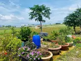Rẻ Nhất Thị Trường Có 1 Ko 2-Giảm Cực Sâu 900 Triệu - Bán Gấp Lô Đất 369M² Ngay Tt Hành Chính Đức - Ảnh 5
