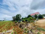 Rẻ Nhất Thị Trường Có 1 Ko 2-Giảm Cực Sâu 900 Triệu - Bán Gấp Lô Đất 369M² Ngay Tt Hành Chính Đức - Ảnh 3