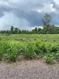 ( Chính Chủ ) Cần Bán 1 Công Đất Tại Xã Xuân Bảo, Huyện Cẩm Mỹ, Tỉnh Đồng Nai - Ảnh 2