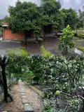 Bán Đất Thổ Cư Đẹp Tại Lái Thiêu – Thuận An, Bình Dương - Ảnh 5
