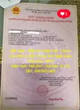 Đất Đẹp - Đầu Tư Sinh Lời - Chính Chủ Bán Lô Đất Trung Tâm Ngãi Giao, Châu Đức, Brvt - Ảnh 1