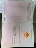 Đầu Tư Sinh Lời - Chính Chủ Cần Bán Đất Tại Phường An Hải Bắc, Q. Sơn Trà, Tp Đà Nẵng - Ảnh 1