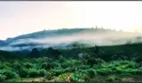 Bán Đất View Đồi – Sát Suối – Bản Bon, Bảo Lộc - Ảnh 4