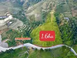Chính Chủ Bán Hơn 1,6Ha Đất Duy Nhất Ngay Mt Quốc Lộ 4D-Ngay Cầu 31 - Ảnh 2