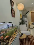 ► K Trần Cao Vân Gần Bãi Đậu Ô Tô, 40M2, 2 Tầng Ở Ngay, 3.X Tỷ - Ảnh 3