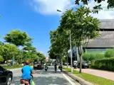 Giảm 4 Tỷ Mặt Phố Cổ Linh Toà Văn Phòng Mt 12M Dt 130M2 4 Tầng Kinh Doanh Cao Cấp - Ảnh 3