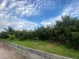Đầu Tư Sinh Lời – Chính Chủ Cần Bán Đất Tại Xã Trường Đông, Thị Xã Hòa Thành, Tỉnh Tây Ninh - Ảnh 2