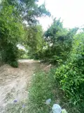 Đầu Tư Sinh Lời – Chính Chủ Cần Bán Đất Tại Xã Trường Đông, Thị Xã Hòa Thành, Tỉnh Tây Ninh - Ảnh 4