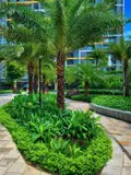 Bán Căn Hộ Studio Giá Tốt Tại The Opus One - Vinhomes Grand Park - Ảnh 4