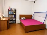 Cho Thuê Nhà Nguyên Căn 3 Tầng 1 Tum – Thiết Kế Hiện Đại, Rộng Rãi, Dọn Vào Ở Ngay - Ảnh 5