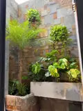 Nhà 3 Tầng 3 Mê Đúc Sau Lưng Nhà Mặt Tiền Nguyễn Phước Nguyên - ảnh 5