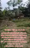 Mảnh Đất Giá Hời - Bán Nhanh Lô Đất Dãn Dân /Trồng Cây Lâu Năm - Đầu Tư Là Sinh Lời Tại H. Ba Vì Hn - Ảnh 3