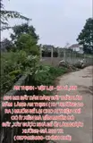 Mảnh Đất Giá Hời - Bán Nhanh Lô Đất Dãn Dân /Trồng Cây Lâu Năm - Đầu Tư Là Sinh Lời Tại H. Ba Vì Hn - Ảnh 5