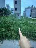 Bán Đất Phân Lô Lê Hồng Phong - Vị Trí Vàng Đầu Tư - Ảnh 1