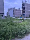 Bán Đất Phân Lô Lê Hồng Phong - Vị Trí Vàng Đầu Tư - Ảnh 2