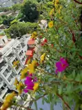 Bán Căn Hộ Chung Cư 54 Hạ Đình , Thanh Xuân, Hà Nội – Nhà Đẹp, Full Nội Thất, Chỉ Việc Dọn Vào Ở - Ảnh 5