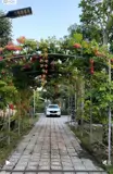 Giá Sốc – Giảm Mạnh Cần Bán Nhanh Nhà Vườn Sinh Thái Nghỉ Dưỡng 2 Mặt Tiền - Ảnh 3
