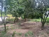 Đất Đẹp - Đầu Tư Sinh Lời - Chính Chủ Cần Bán Lô Đất Tại Xã Túc Trưng, Định Quán, Đồng Nai - Ảnh 3