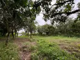Đất Đẹp - Đầu Tư Sinh Lời - Chính Chủ Cần Bán Lô Đất Tại Xã Túc Trưng, Định Quán, Đồng Nai - Ảnh 5