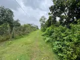 Đất Đẹp - Đầu Tư Sinh Lời - Chính Chủ Cần Bán Lô Đất Tại Xã Túc Trưng, Định Quán, Đồng Nai - Ảnh 4