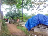 131M Đông Phương Yên-Chương Mỹ-Hà Nội - Ảnh 2