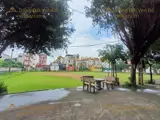131M Đông Phương Yên-Chương Mỹ-Hà Nội - Ảnh 4