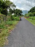 Đất Đẹp - Giá Tốt - Chính Chủ Cần Bán Lô Đất Ấp Tân Trung B, Xã Tân Phú, Huyện Tân Châu. Tây Ninh - Ảnh 2