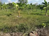 Đầu Tư Sinh Lời - Chính Chủ Cần Bán 2 Lô Đất Đẹp Tại Ấp 3, Xã Gia Canh, Huyện Định Quán, Tỉnh Đồng - Ảnh 5