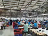 Xưởng Chuẩn May Mặc 5.000M² Pccc Tự Động Thẩm Duyệt Xe Container - ảnh 4