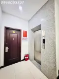 Bán Chdv Đường Lê Thị Chợ, Quận 7, Dt 213M2, 5 Tầng Có Tm, Giá 42 Tỷ - Ảnh 4